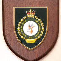 SA Legion Shield